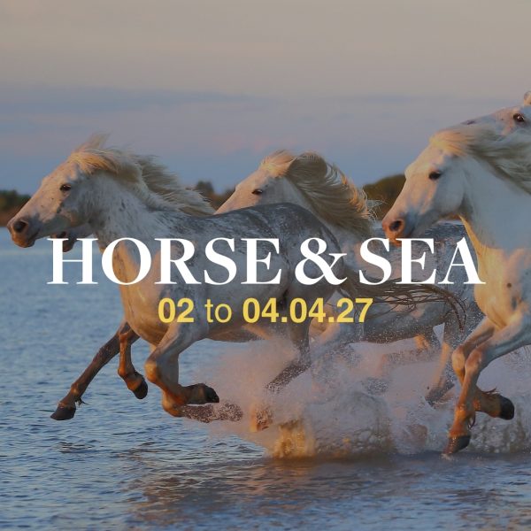 CAMARGUE April 2027